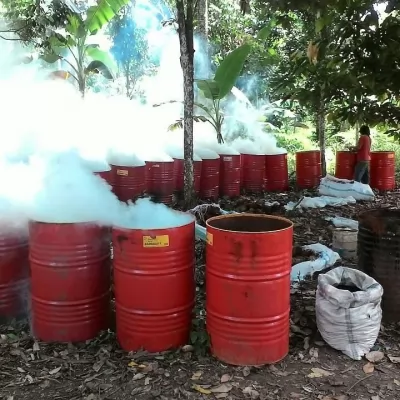 Panduan Lengkap Memilih Arang Briket Berkualitas untuk Panggangan BBQ Anda